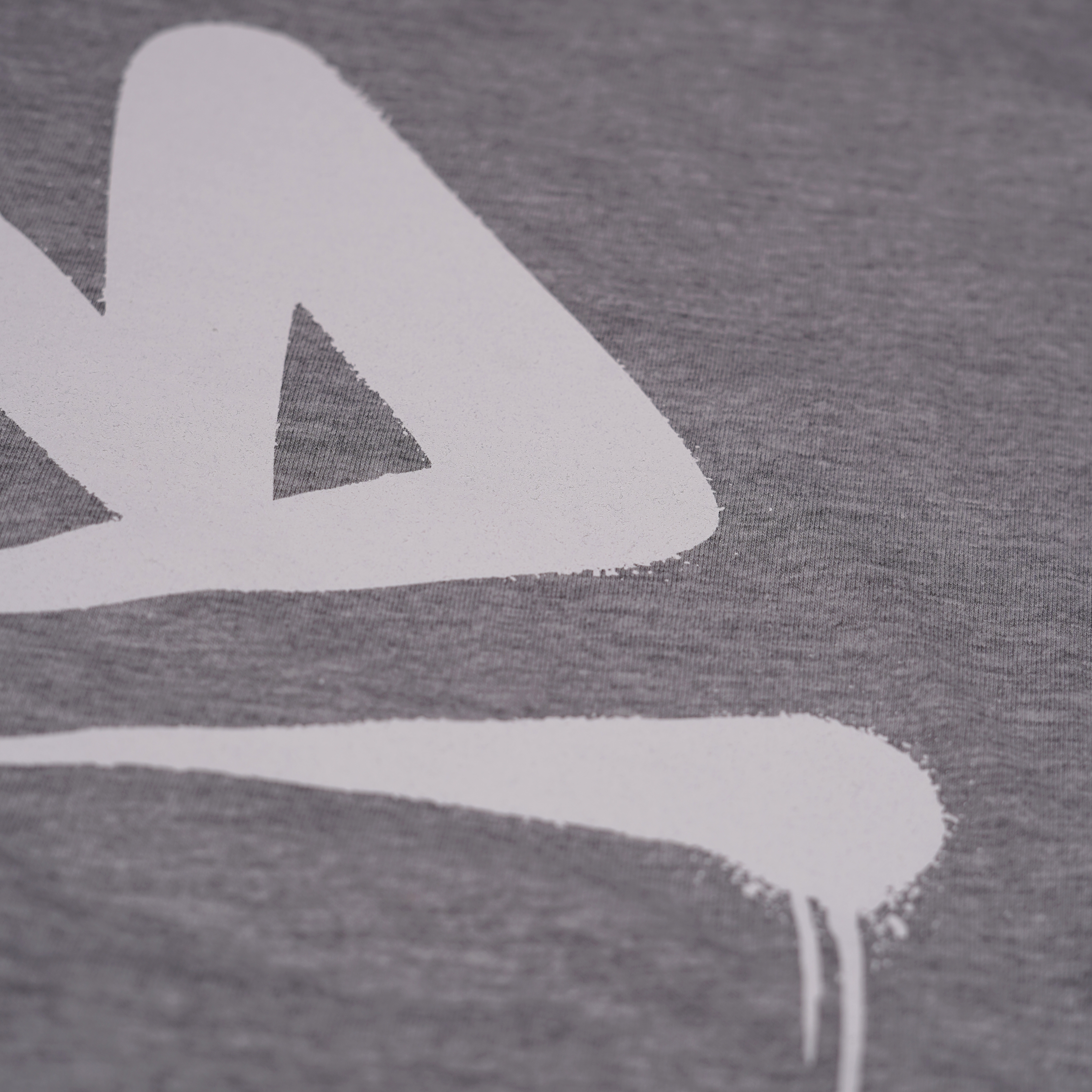 Dztroy_Logo_03 Dztroy T-Shirt "Logo King" Grey